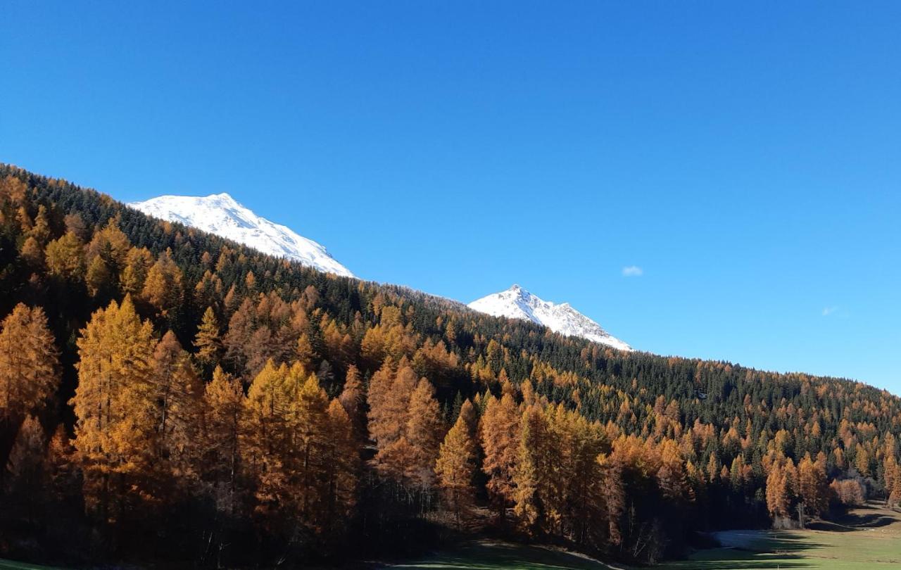 Fuldera Daint Chasa Zanoli Whg Im Zweiten Stock Luaran gambar